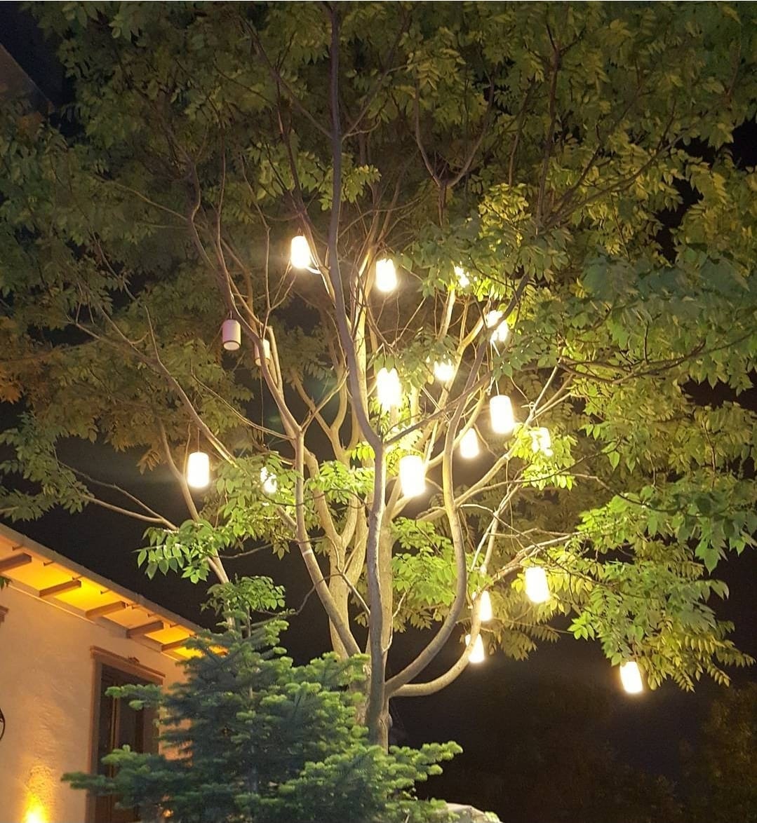 Eski Elektrik Tesisatlarının Yenilenmesi ve Riskleri